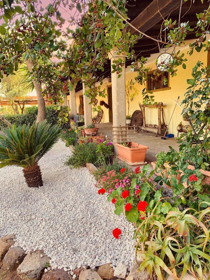 Agriturismo Da Lino Agripizza Villa Samugheo Екстериор снимка