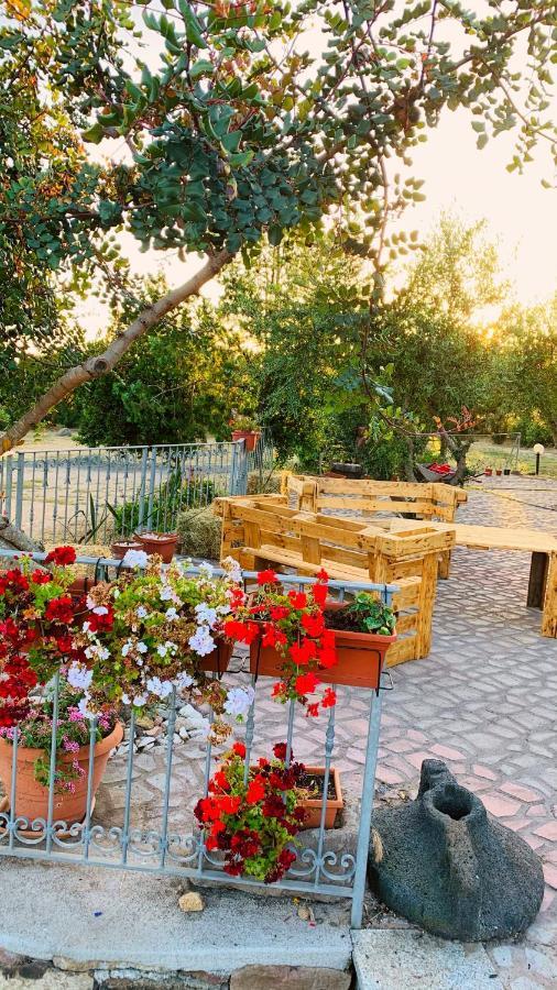 Agriturismo Da Lino Agripizza Villa Samugheo Екстериор снимка