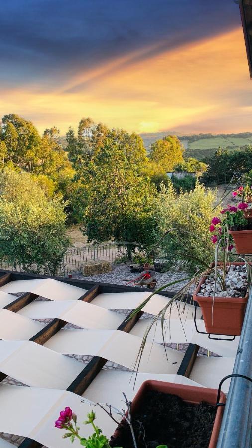 Agriturismo Da Lino Agripizza Villa Samugheo Екстериор снимка